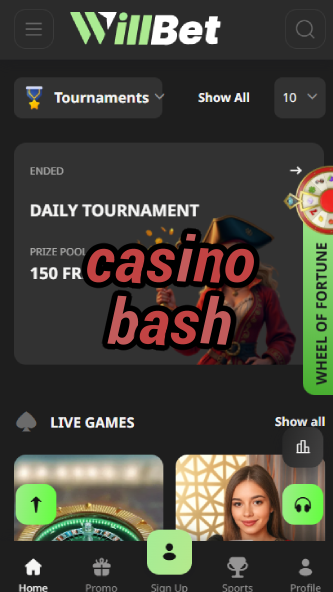 Casino Bash - Party-Themed Casino Platform-www.bdqngd.com