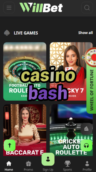 Casino Bash - Party-Themed Casino Platform-www.bdqngd.com